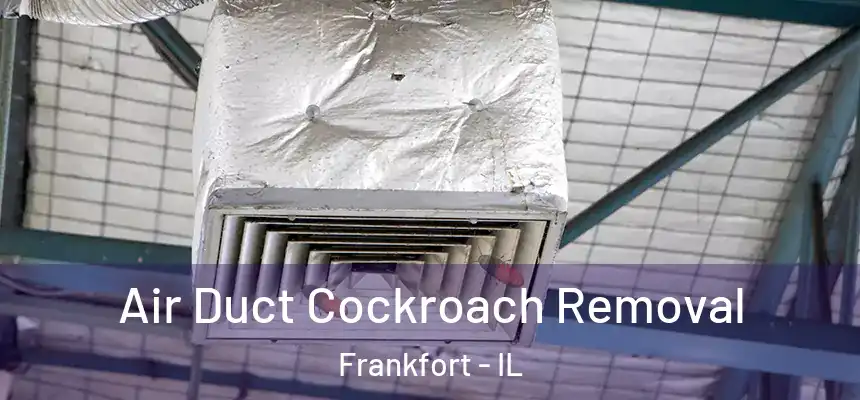  Air Duct Cockroach Removal Frankfort - IL