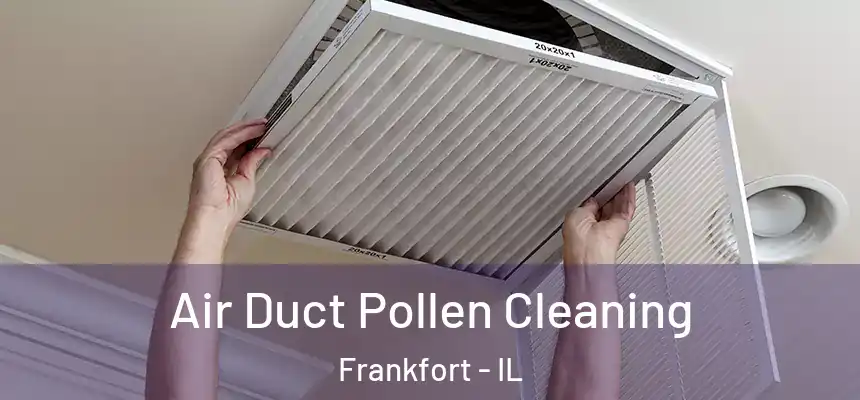  Air Duct Pollen Cleaning Frankfort - IL