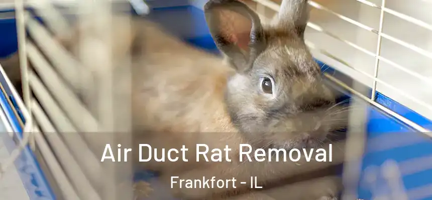  Air Duct Rat Removal Frankfort - IL