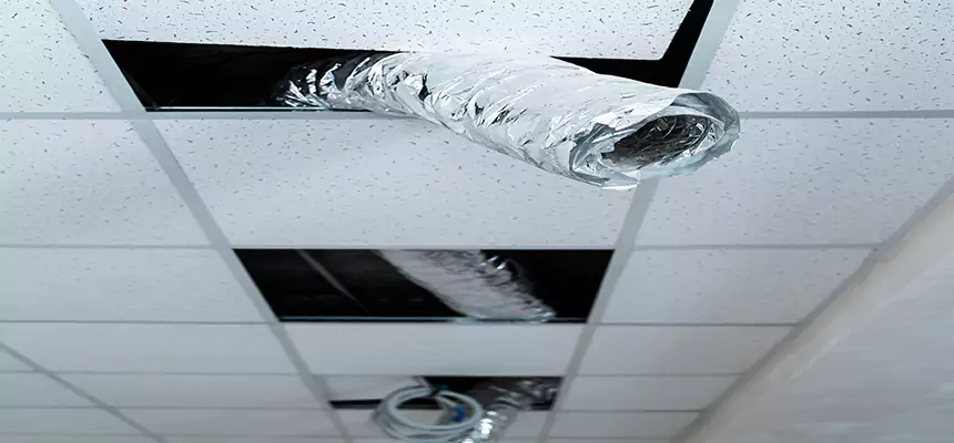 Our Air Duct Pet Hair Removal Services in Frankfort, IL