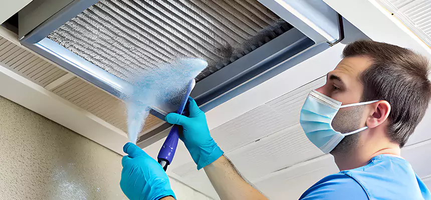 Proactive Dryer Vent & Auxiliary Duct Pollen Cleanup in Frankfort, IL