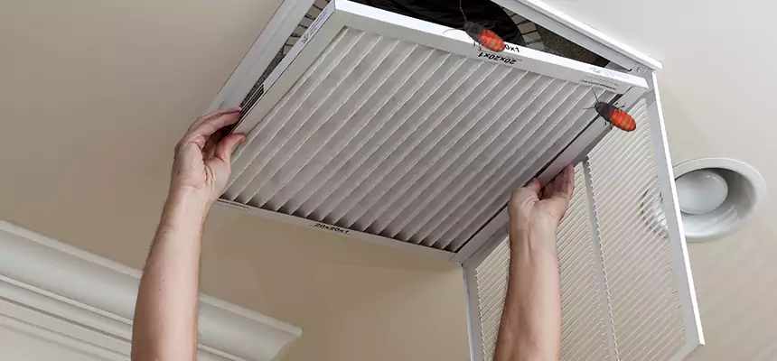 Our Insect Removal from Air Ducts Services in Frankfort, IL