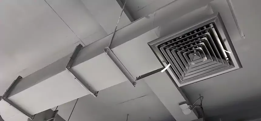 Our Pest Removal From Ducts Services in Frankfort, IL