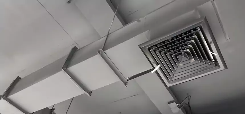 Our Rodent Droppings In Vents Services in Frankfort, IL