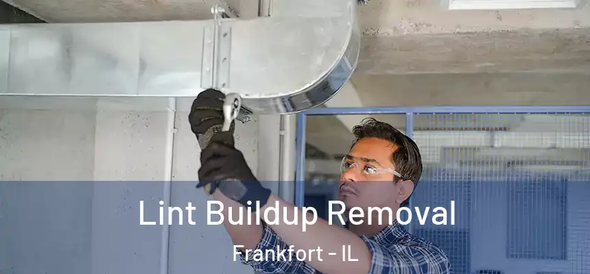  Lint Buildup Removal Frankfort - IL