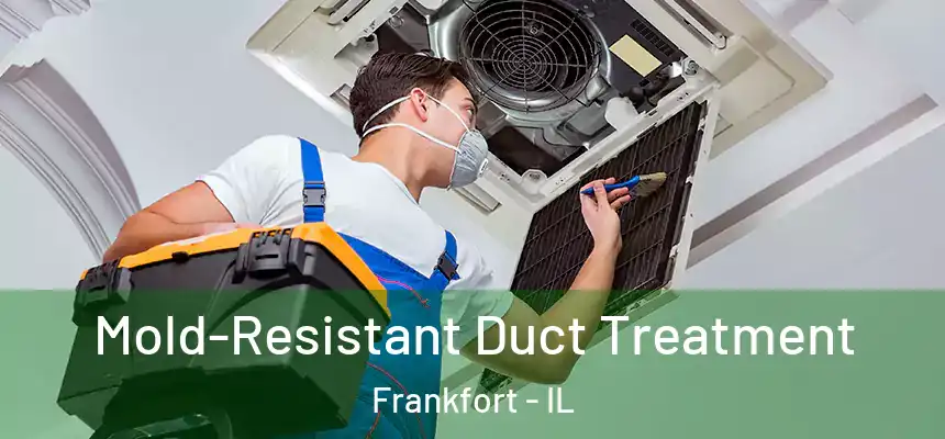 Mold-Resistant Duct Treatment Frankfort - IL