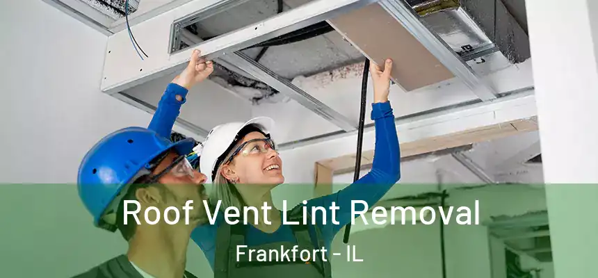  Roof Vent Lint Removal Frankfort - IL