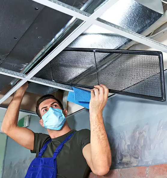 About Air Duct Bacteria Removal in Frankfort