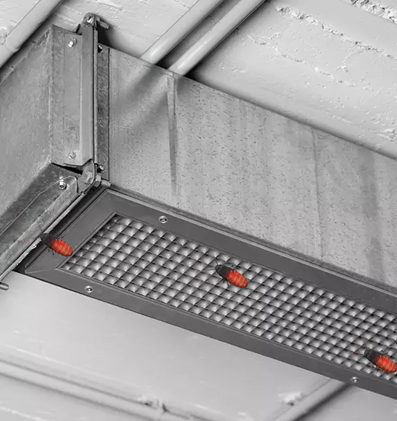 About Air Duct Cockroach Removal in Frankfort, IL