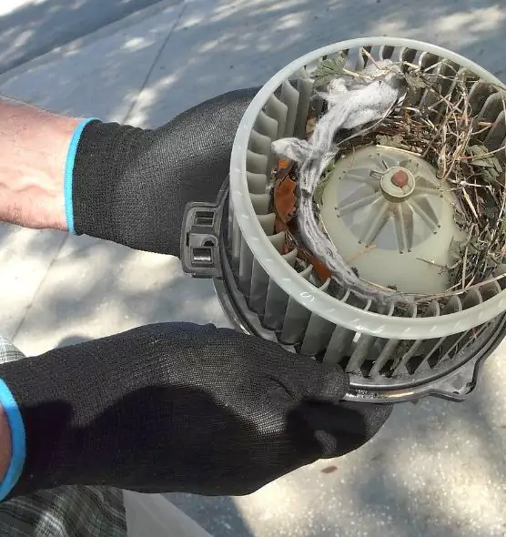 About Air Duct Mice Removal in Frankfort, IL