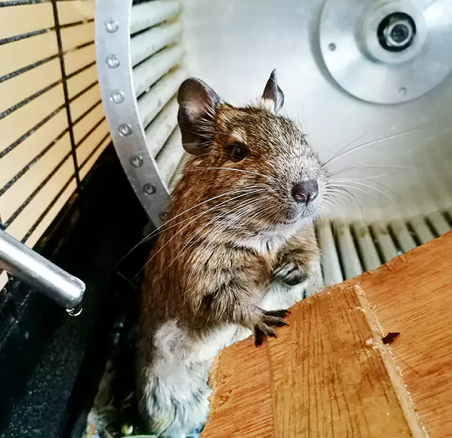 Why Homeowners & Businesses Trust Us Frankfort, IL?