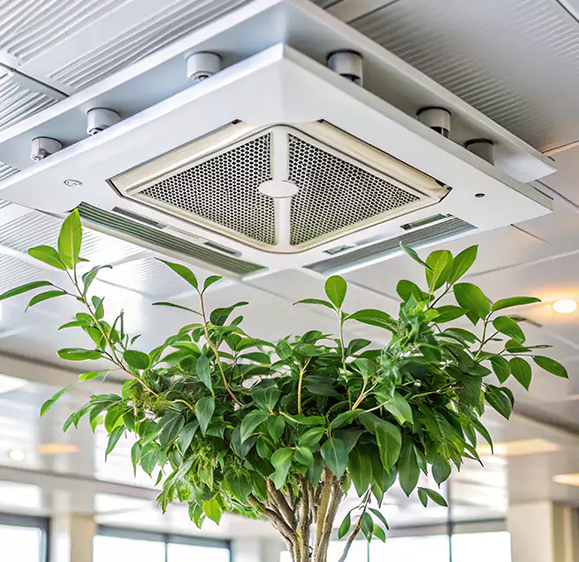 Why Homeowners & Businesses Trust Us in Frankfort, IL?