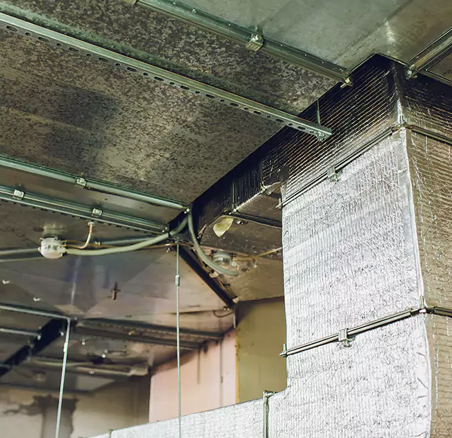 Why Homeowners & Businesses Trust Us in Frankfort, IL?