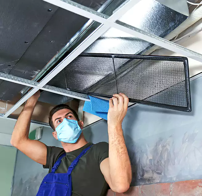 Why Homeowners Businesses Trust Us in Frankfort, IL